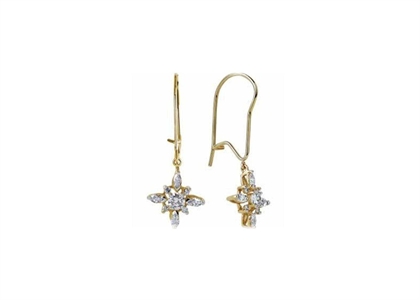 Gold Plated | Fashion Earrings